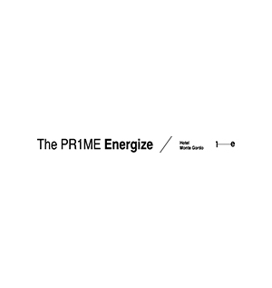 Logótipo de The Prime Energize, Lda.